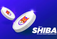 Shiba Inu Most viewed crypto currency - CoinCompared