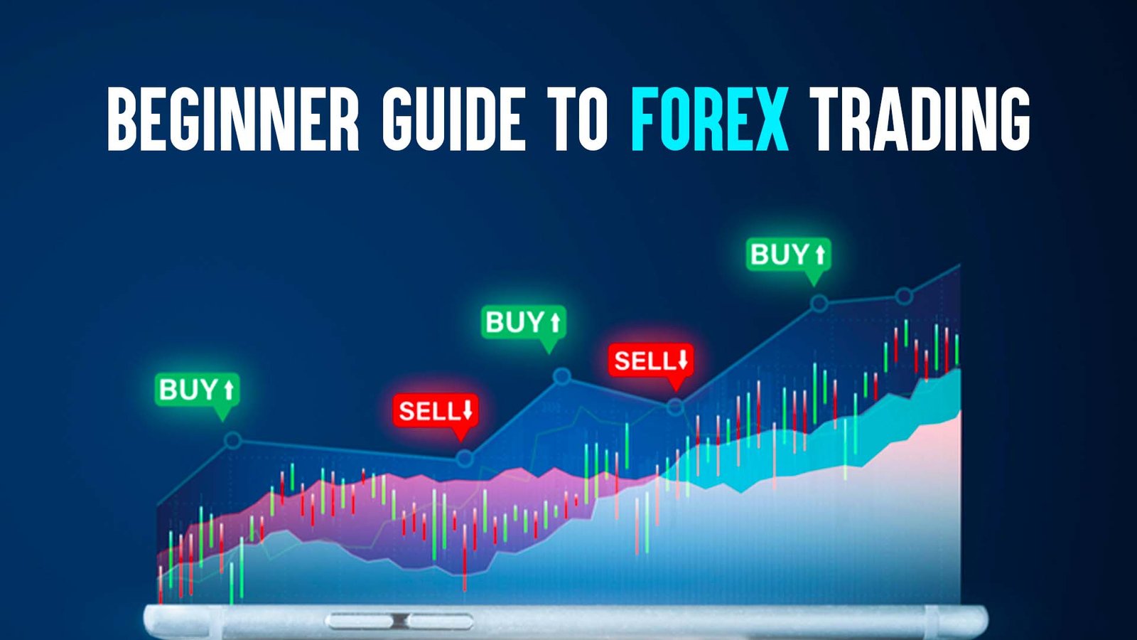 Beginner Guide to Forex Trading