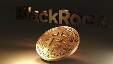 BlackRock CEO Talks About Bitcoin, Ethereum